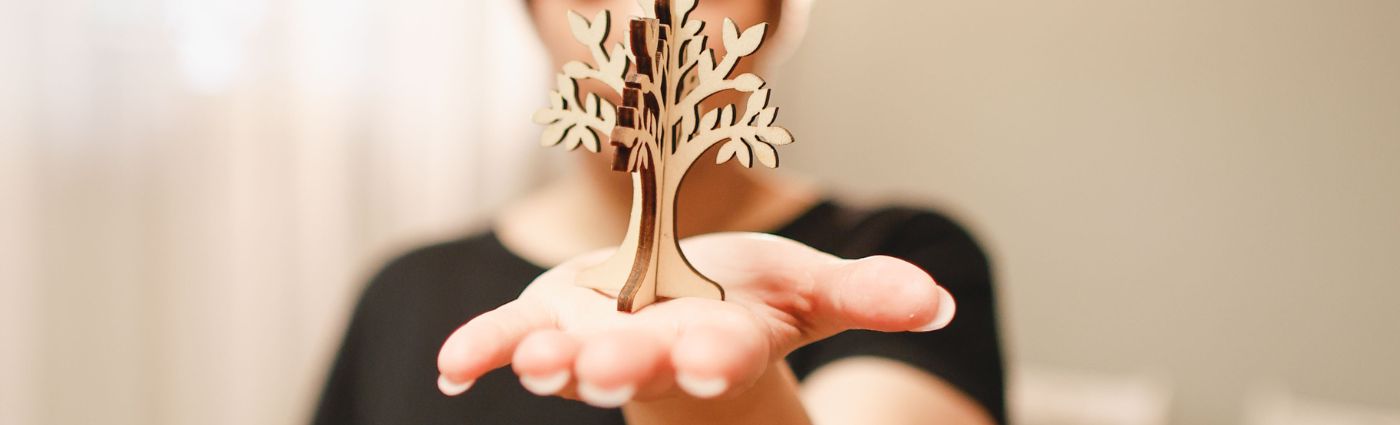 Mani che sostengono un piccolo albero di legno, simbolo di cura e crescita